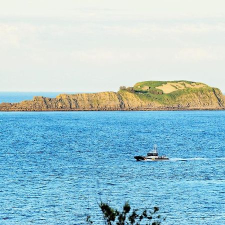 Aurrekoetxea 36 Vr, Talako Izarra Apartman Bermeo Kültér fotó