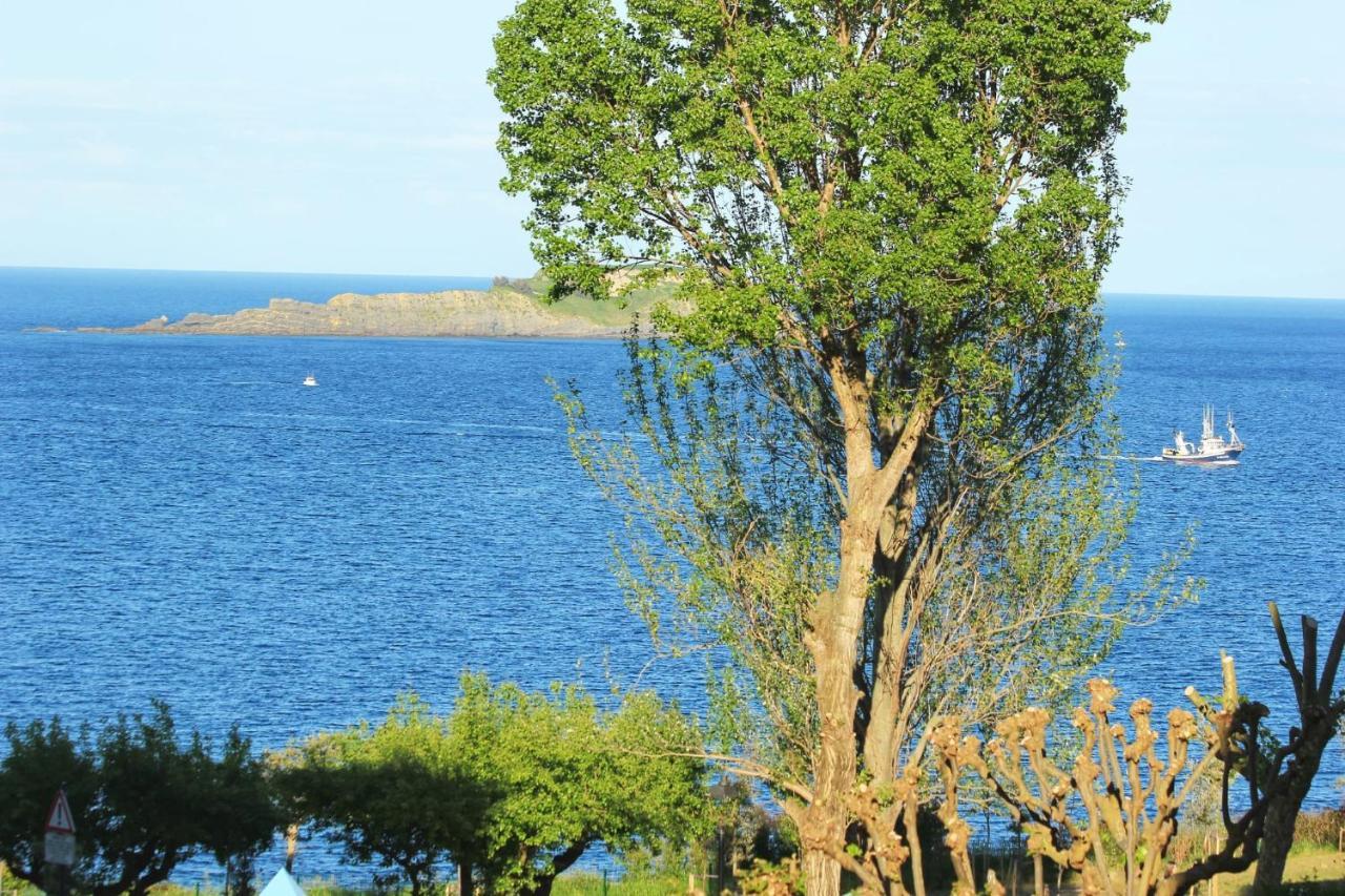 Aurrekoetxea 36 Vr, Talako Izarra Apartman Bermeo Kültér fotó